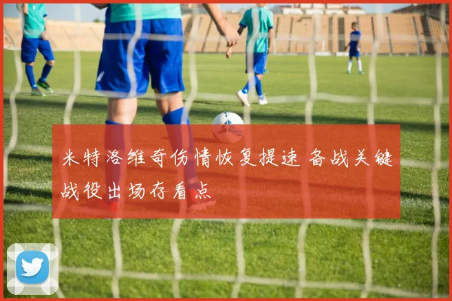 米特洛维奇伤情恢复提速 备战关键战役出场存看点