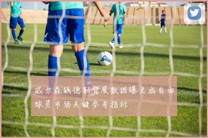 威尔森钱德勒臂展数据曝光成自由球员市场关键参考指标