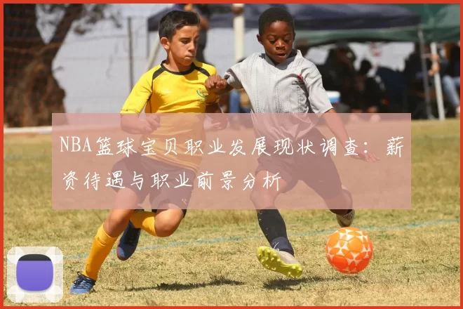 NBA篮球宝贝职业发展现状调查：薪资待遇与职业前景分析