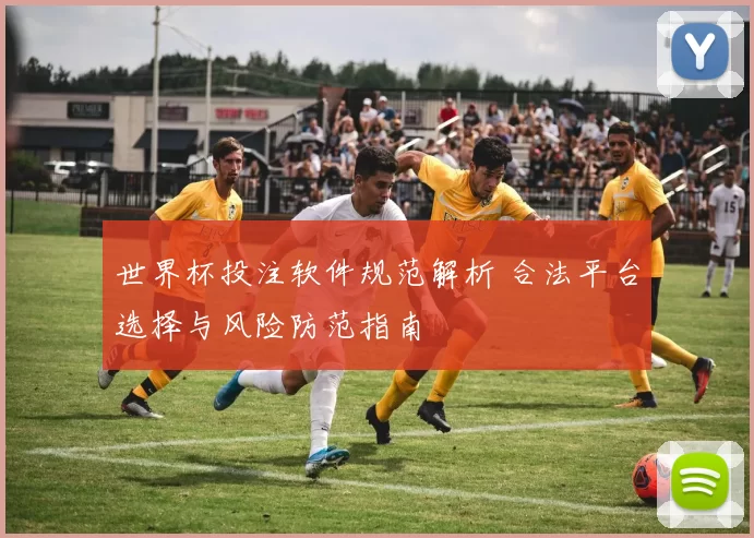 世界杯投注软件规范解析 合法平台选择与风险防范指南