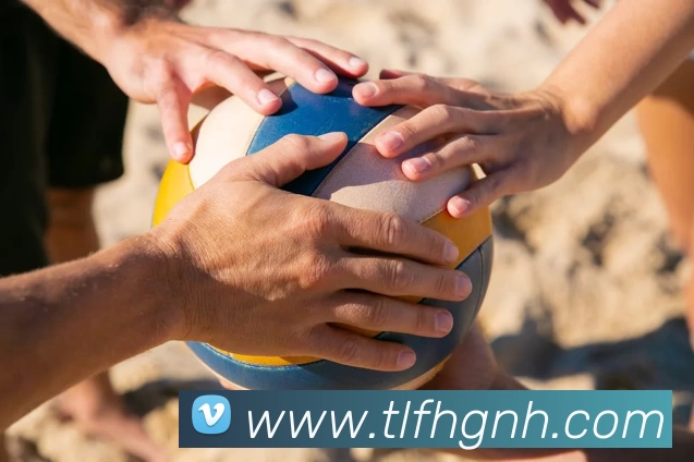 mksports赛事直播服务体系